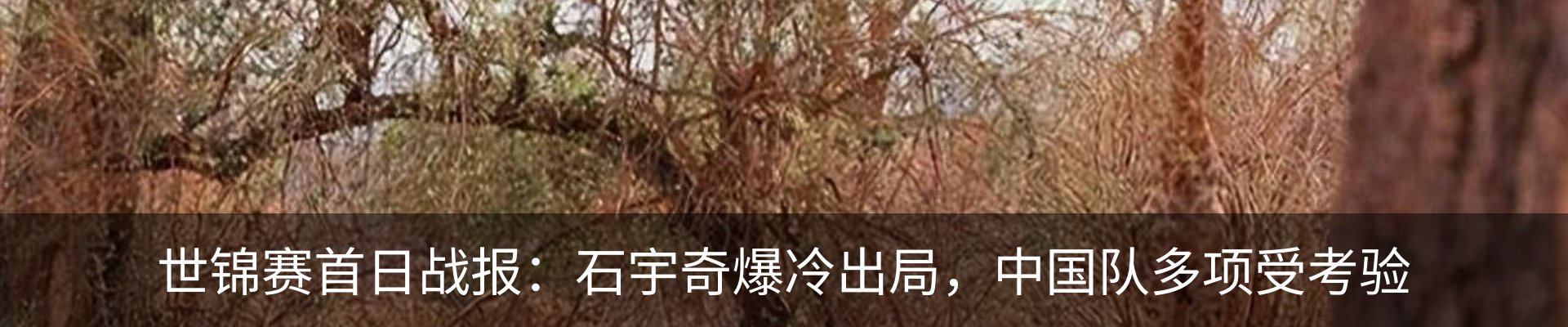新闻中心