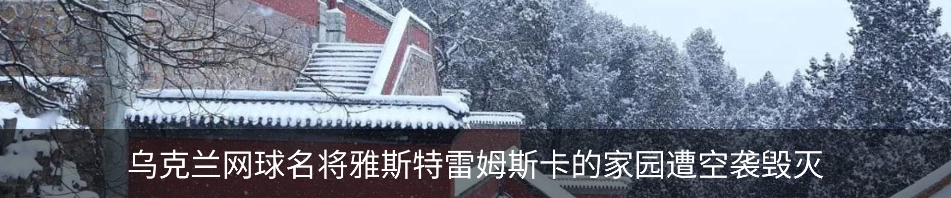 新闻中心