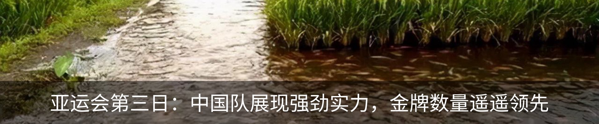 新闻中心