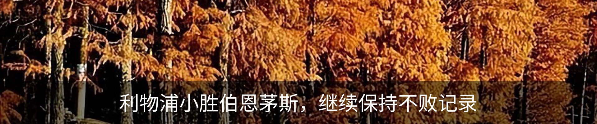 新闻中心