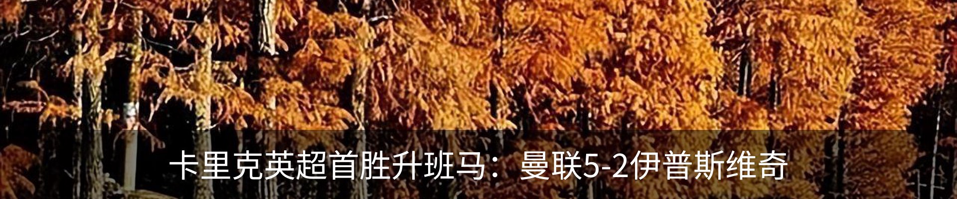 新闻中心