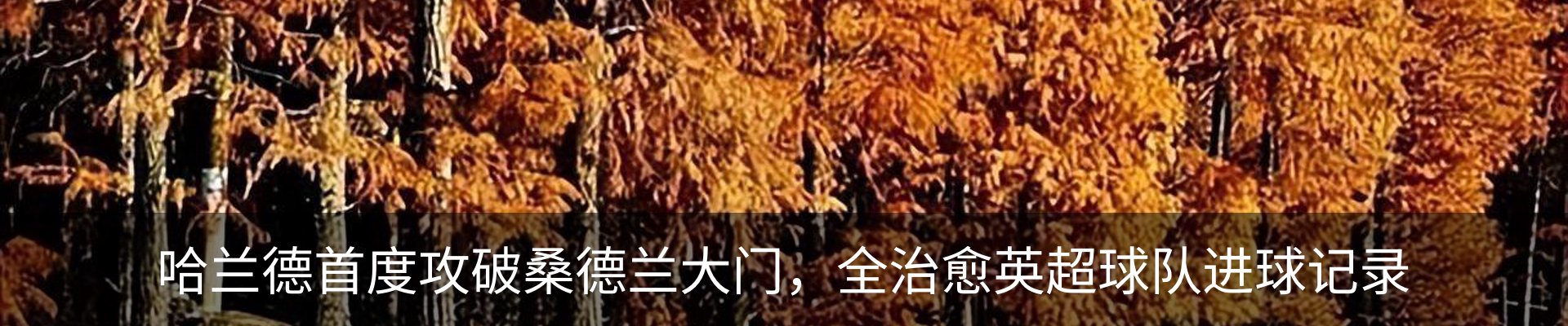 新闻中心