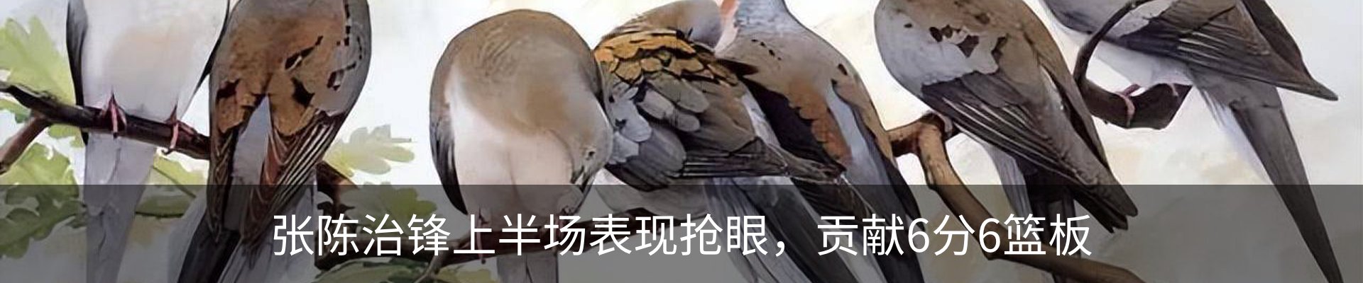 新闻中心