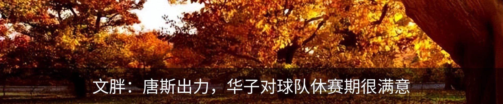 新闻中心