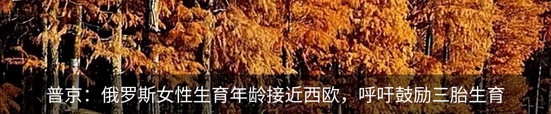 新闻中心