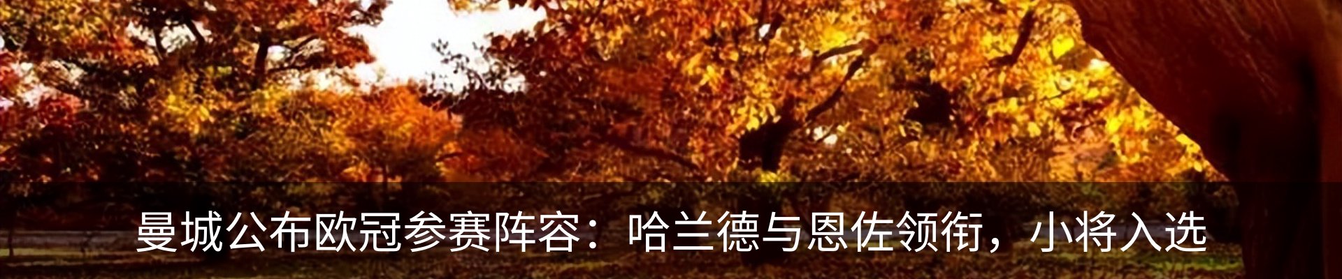 新闻中心