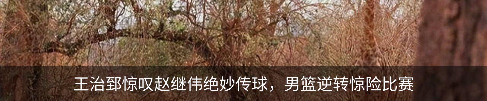 新闻中心