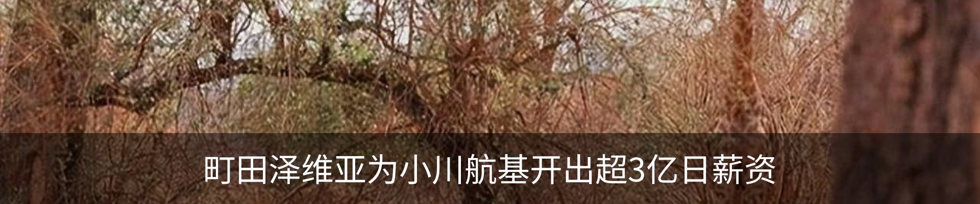 新闻中心