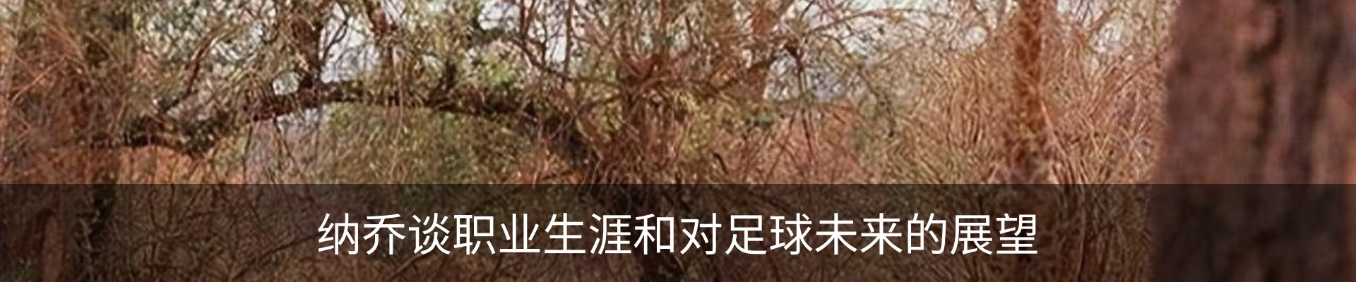 新闻中心