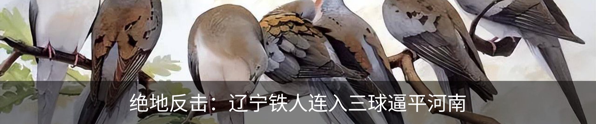 新闻中心