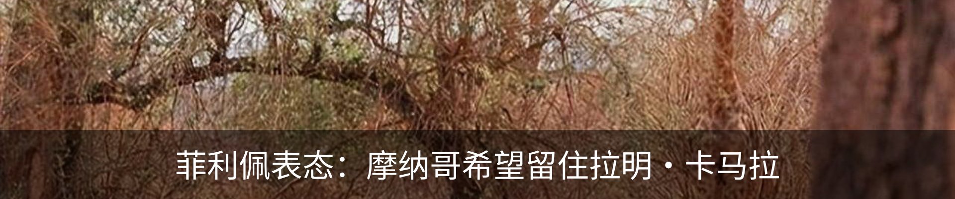 新闻中心