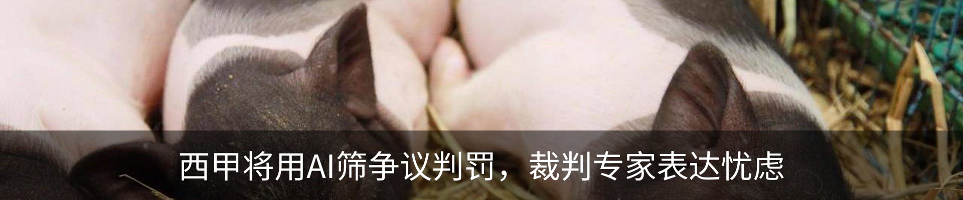 新闻中心