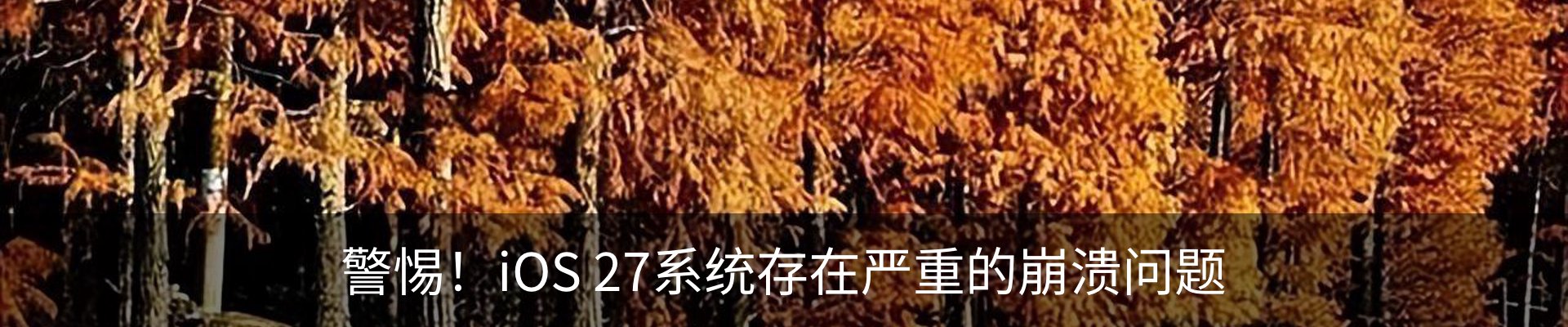 新闻中心