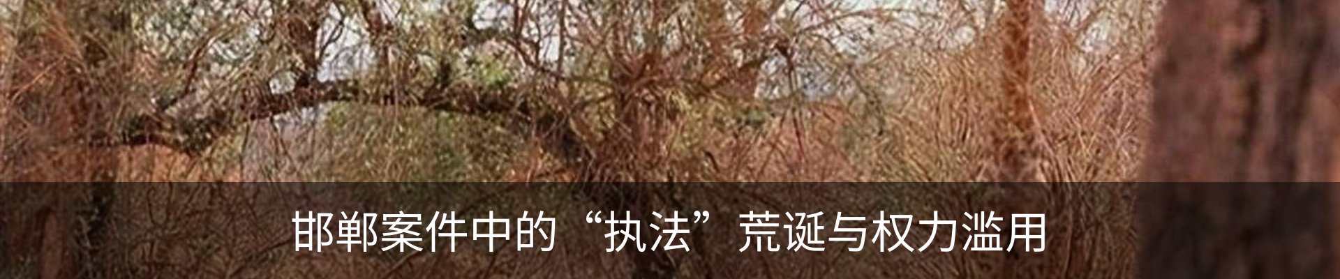 新闻中心