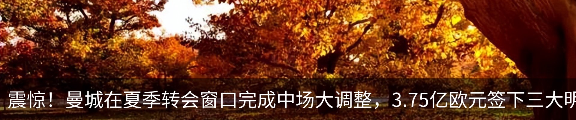 新闻中心