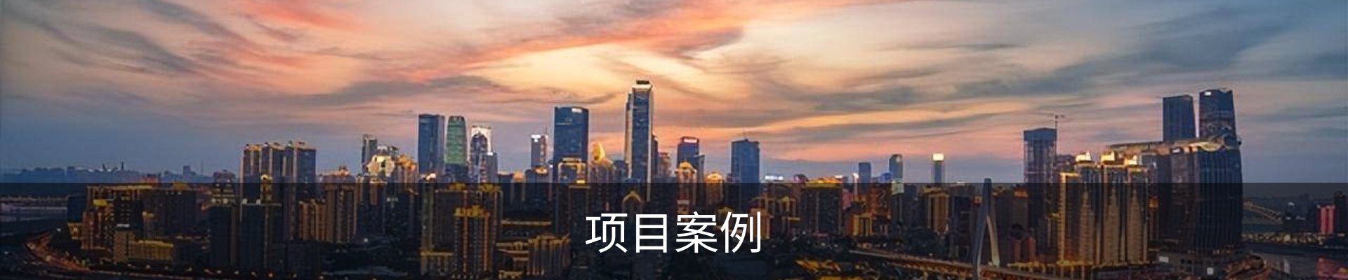 项目案例