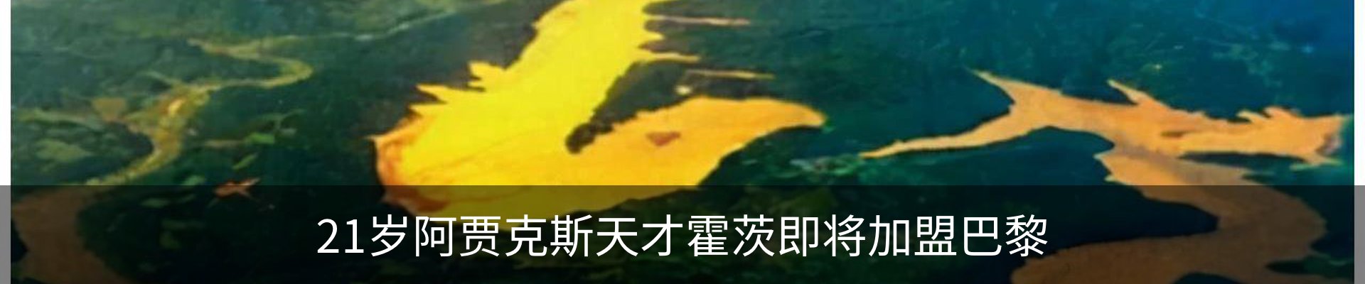 新闻中心